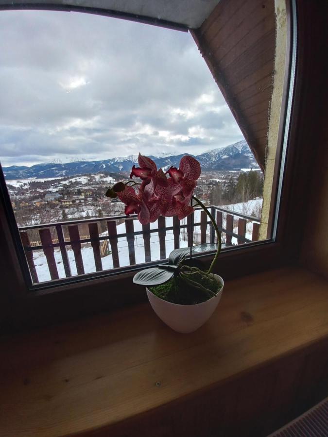 Niebianska Gran Lejlighed Zakopane Eksteriør billede