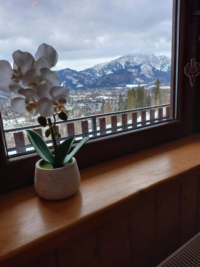 Niebianska Gran Lejlighed Zakopane Eksteriør billede